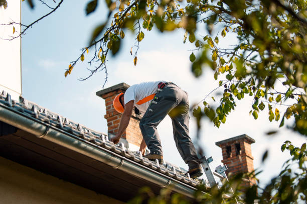 Best Flat Roof Repair Services  in New Town, ND