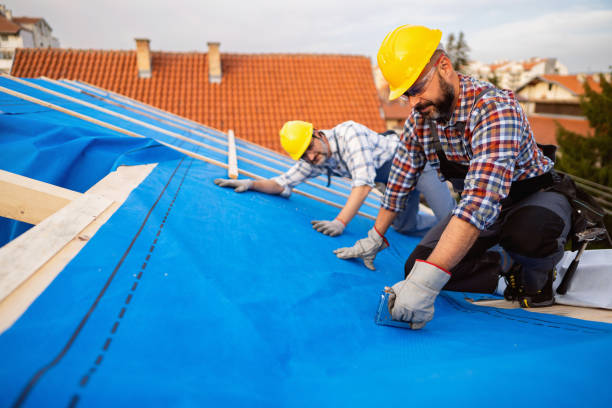 Best Roof Leak Repair  in New Town, ND