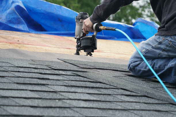 Best Roof Repair Services  in New Town, ND