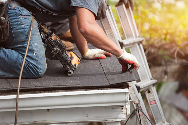 Best Local Roofing Companies  in New Town, ND