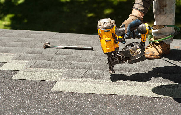 Best Roof Gutter Cleaning  in New Town, ND